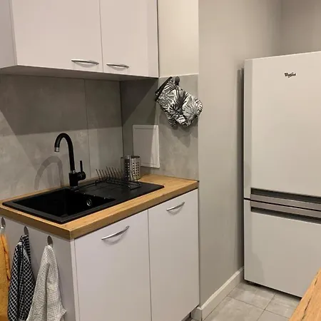 Dabrowszczakow App Appartement Gdańsk